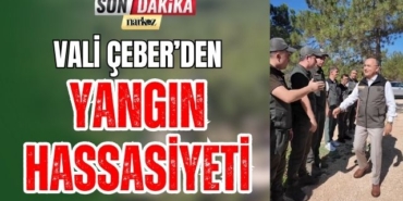 Vali Çeber' den Yangın Hassasiyeti