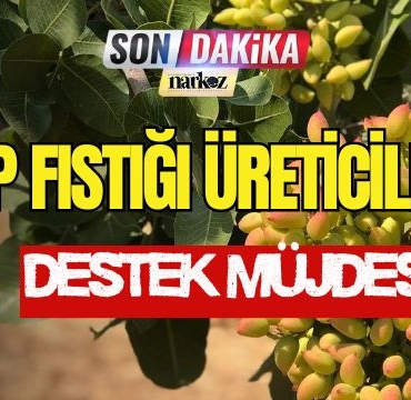 Antep Fıstığı Üreticilerine Destek Müjdesi!