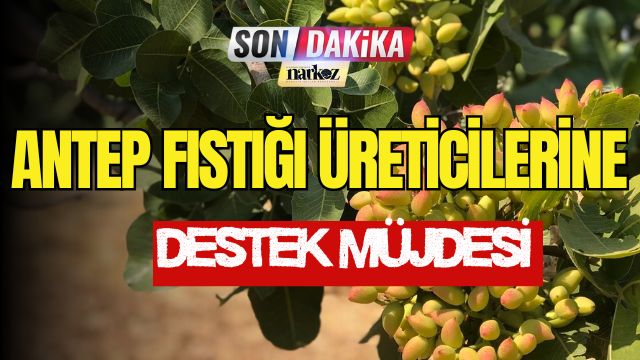 Antep Fıstığı Üreticilerine Destek Müjdesi!
