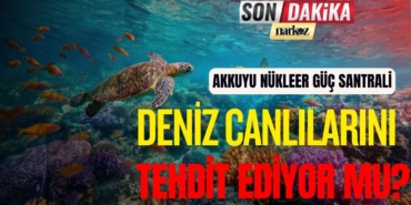 Mersin Nükleer Santrali Deniz Canlılarını Tehdit Ediyor mu?