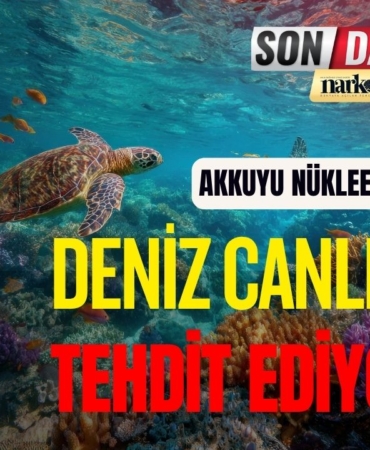 Mersin Nükleer Santrali Deniz Canlılarını Tehdit Ediyor mu?