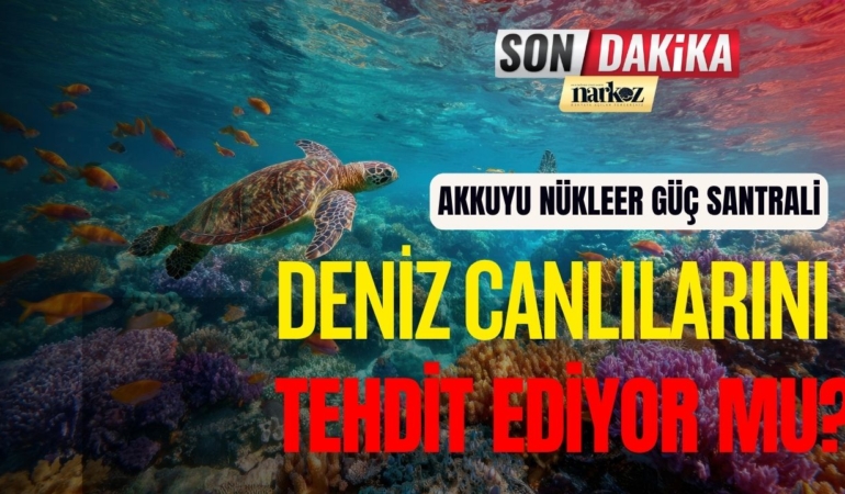 Mersin Nükleer Santrali Deniz Canlılarını Tehdit Ediyor mu?