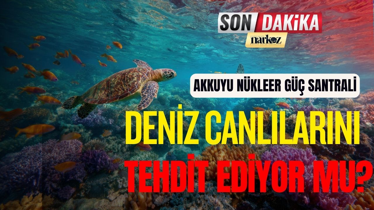 Mersin Nükleer Santrali Deniz Canlılarını Tehdit Ediyor mu?