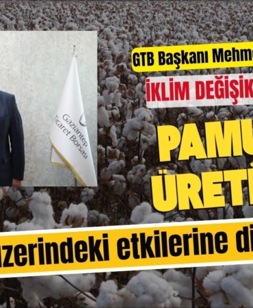 Pamuk, İklim Değişikliğine Karşı Sürdürülebilir Eğitimle Korunmalı