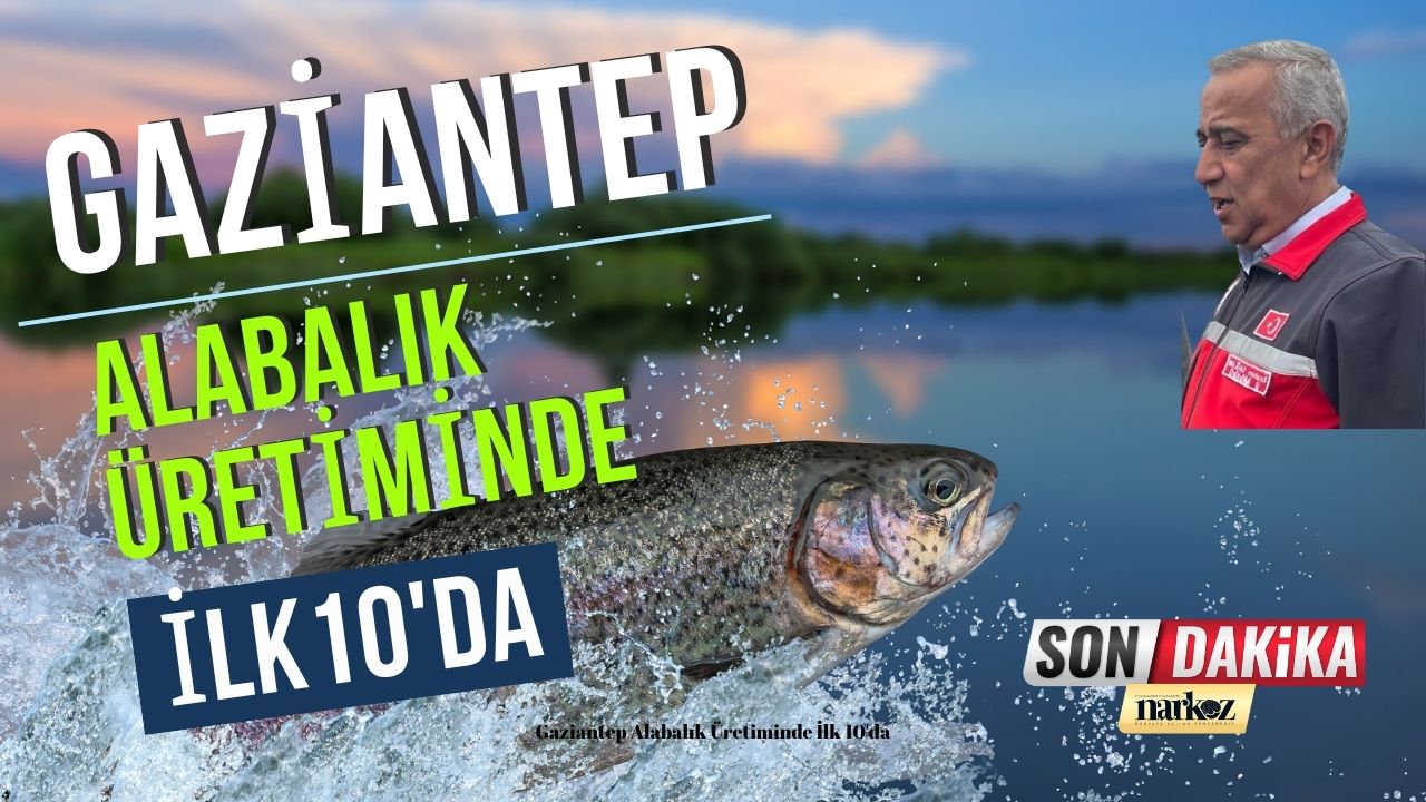 Gaziantep Alabalık Üretiminde İlk 10'da