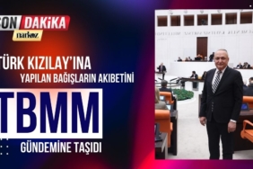 CHP'li Meriç, Türk Kızılay’ına Yapılan Bağışların Akıbetini TBMM Gündemine Taşıdı