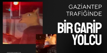 Gaziantep Trafiğinde Şaşırtan Görüntü