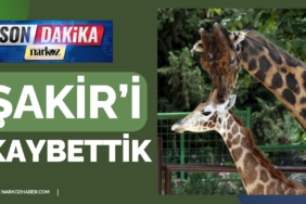 Gaziantep'in Sevilen Simgesi Şakir Hayatını Kaybetti