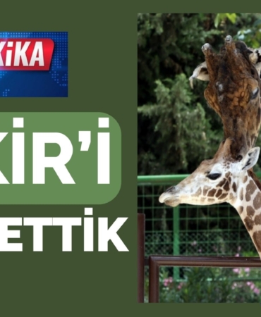 Gaziantep'in Sevilen Simgesi Şakir Hayatını Kaybetti