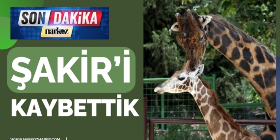 Gaziantep'in Sevilen Simgesi Şakir Hayatını Kaybetti