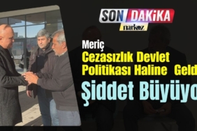 Meriç: “Cezasızlık Devlet Politikası Haline  Geldi, Şiddet Büyüyor”
