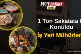 Farelerin Gezdiği Ruhsatsız İşletmeye Büyük Ceza