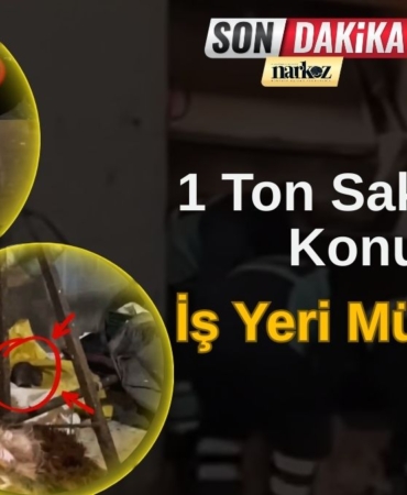 Farelerin Gezdiği Ruhsatsız İşletmeye Büyük Ceza