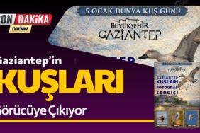 Gaziantep'in Kuşları Görücüye Çıkıyor