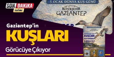 Gaziantep'in Kuşları Görücüye Çıkıyor