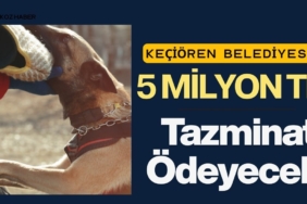 Keçiören Belediyesi 5 Milyon TL Tazminat Ödeyecek