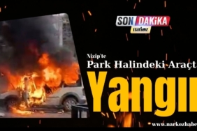 Nizip’te Park Halindeki Ticari Araçta Yangın