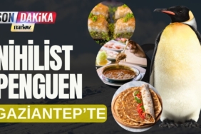 Penguen Kutuplardan Kaçtı, Gaziantep'te Lahmacun Sırasına Girdi