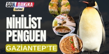 Penguen Kutuplardan Kaçtı, Gaziantep'te Lahmacun Sırasına Girdi