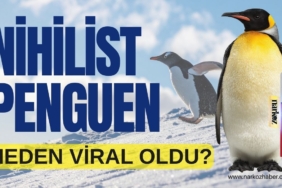 Nihilist Penguen" Neden Yeniden Viral Oldu?