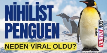 Nihilist Penguen" Neden Yeniden Viral Oldu?