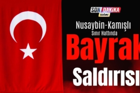 nusaybin kamışlı sınır hattında bayrak saldırısı
