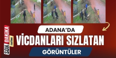 Adana'da Vicdanları Sızlatan Görüntüler Dinazor Parkı'nda Kuş Yuvasını Parçaladılar