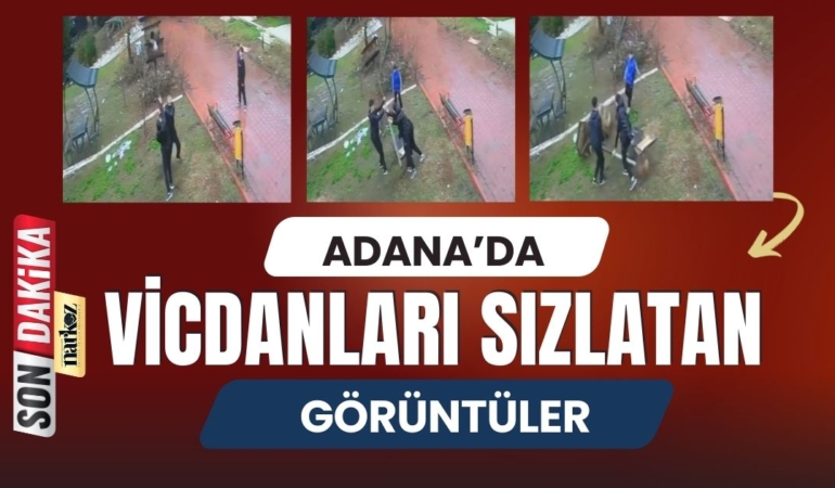 Adana'da Vicdanları Sızlatan Görüntüler Dinazor Parkı'nda Kuş Yuvasını Parçaladılar