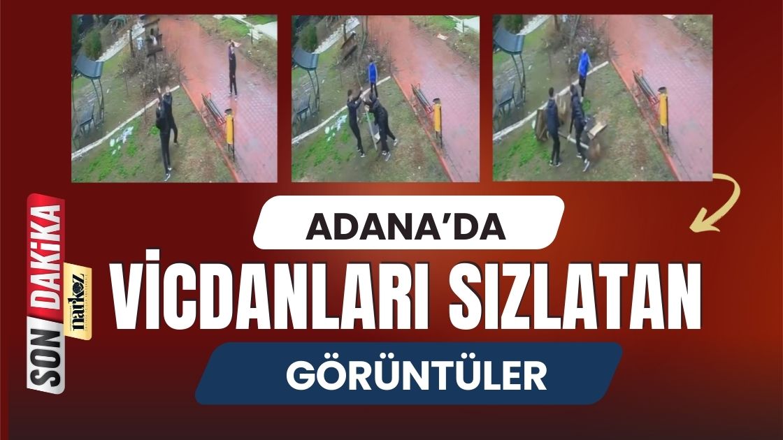 Adana'da Vicdanları Sızlatan Görüntüler Dinazor Parkı'nda Kuş Yuvasını Parçaladılar