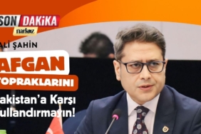 Almanya: 2 - Türkiye: 2 thumbnail