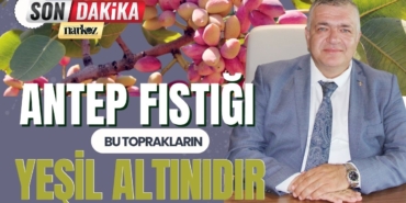GTB Başkanı Akıncı Antep Fıstığı Bu Toprakların Yeşil Altınıdır 