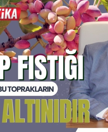 GTB Başkanı Akıncı Antep Fıstığı Bu Toprakların Yeşil Altınıdır 