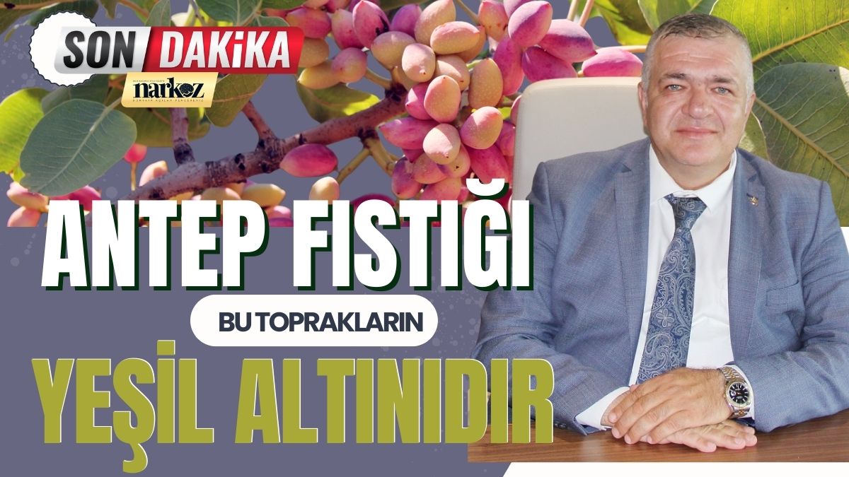 GTB Başkanı Akıncı Antep Fıstığı Bu Toprakların Yeşil Altınıdır 