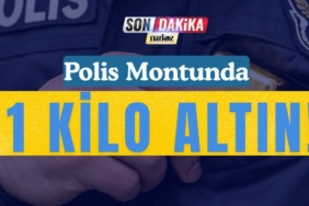 Güneydoğu'nun Tahıl Ambarında Kalkınma Kooperatifi Kuruldu thumbnail