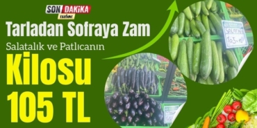 Tarladan Sofraya Zam Salatalık ve Patlıcanın Kilosu 105 TL