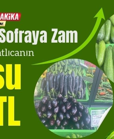 Tarladan Sofraya Zam Salatalık ve Patlıcanın Kilosu 105 TL