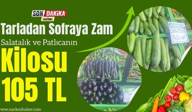 Tarladan Sofraya Zam Salatalık ve Patlıcanın Kilosu 105 TL