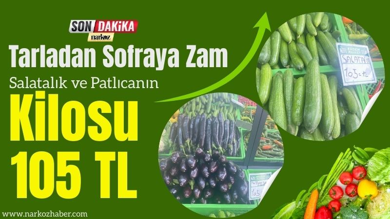Tarladan Sofraya Zam Salatalık ve Patlıcanın Kilosu 105 TL