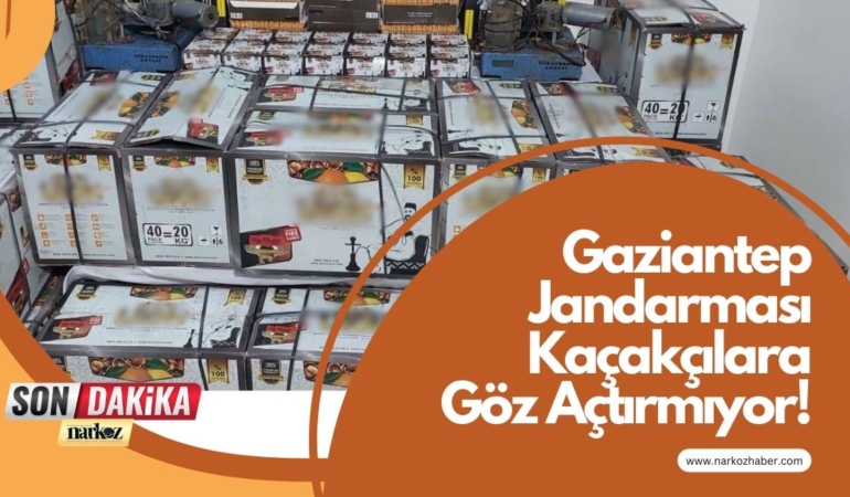 Gaziantep Jandarmasından Kaçakçılara