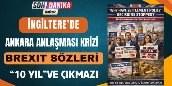 Ankara Anlaşması Krizi