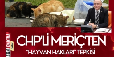 “Hayvan Hakları” Tepkisi