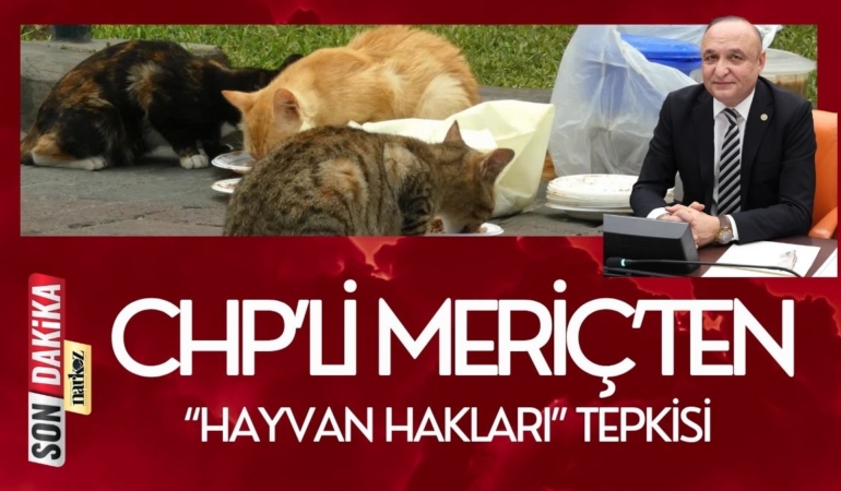 “Hayvan Hakları” Tepkisi