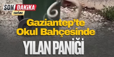 Gaziantep’te Okul Bahçesinde Yılan Paniği: İtfaiye Seferber Oldu!