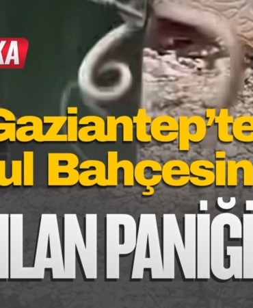 Gaziantep’te Okul Bahçesinde Yılan Paniği: İtfaiye Seferber Oldu!