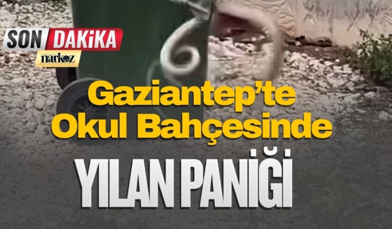Gaziantep’te Okul Bahçesinde Yılan Paniği: İtfaiye Seferber Oldu!