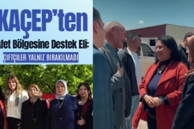 Şeker hastalarına özel mor baklava thumbnail