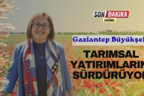 Gaziantep Büyükşehir Tarımsal Yatırımlarını Sürdürüyor
