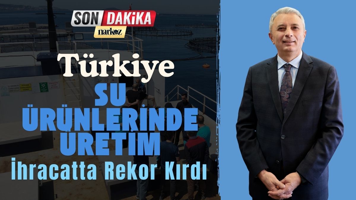 Türkiye Su Ürünlerinde Üretim Ve İhracatta Rekor Kırdı