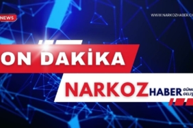 Rektör Dereli’den “14 Mart Tıp Bayramı” Mesajı thumbnail