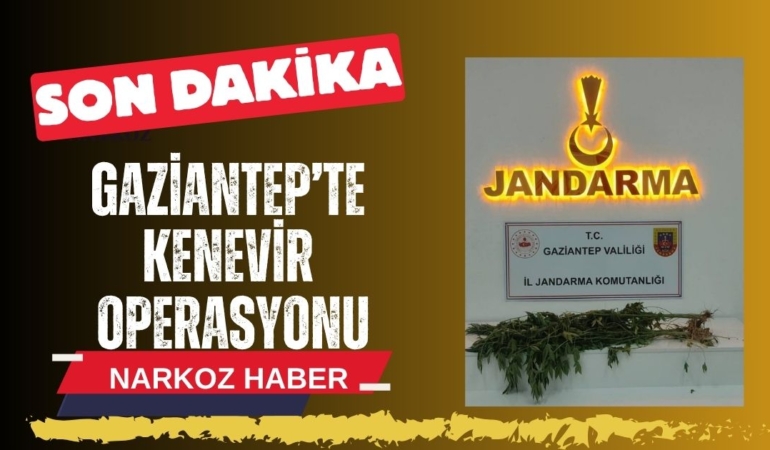 Gaziantep’te Kenevir Operasyonu: 5 Şüpheli Yakalandı!